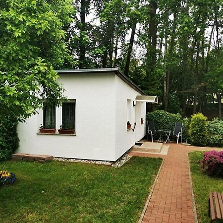 Ferienbungalow Im Igelbau Baabe Exterior foto